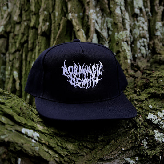 Basic Logo Snapback